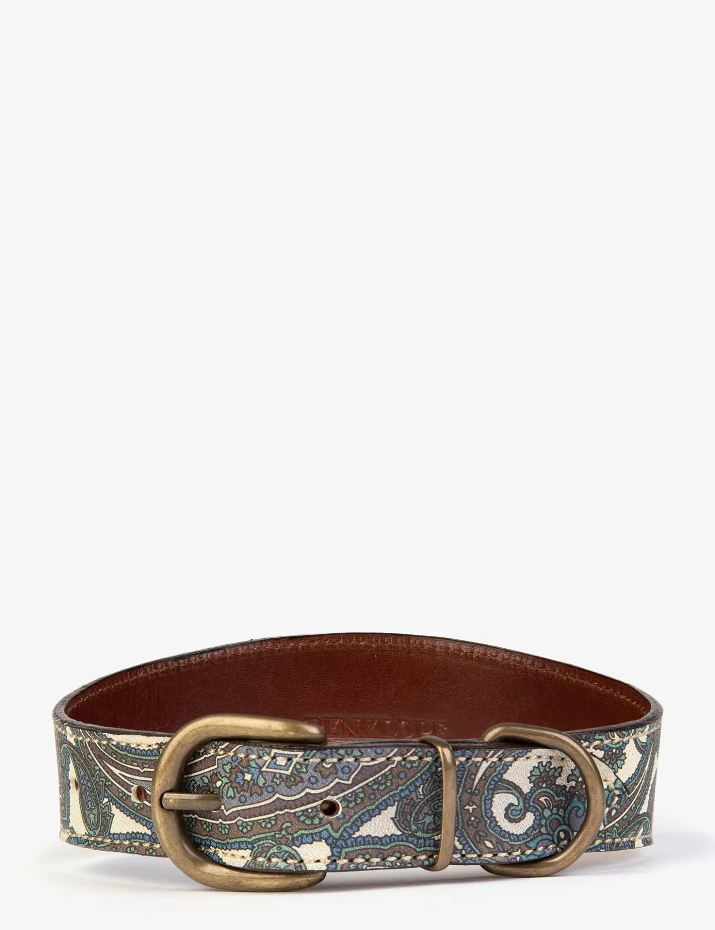 Shop Paisley Dog Collar Dog Accessories