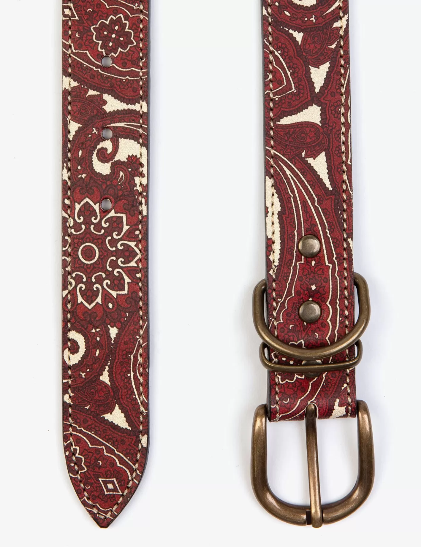 Store Paisley Dog Collar Dog Accessories